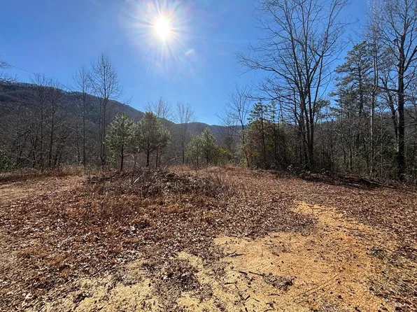 4 Gardners Cv, Whittier, NC 28789