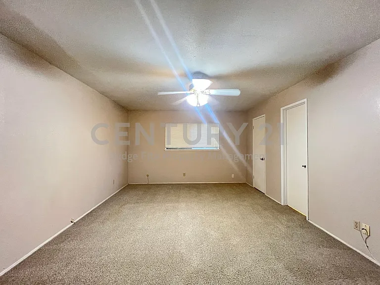 3005 Ravine Trl — Photo 10