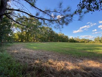 0 W County Road 1491 #1491, Alachua, FL, 32615