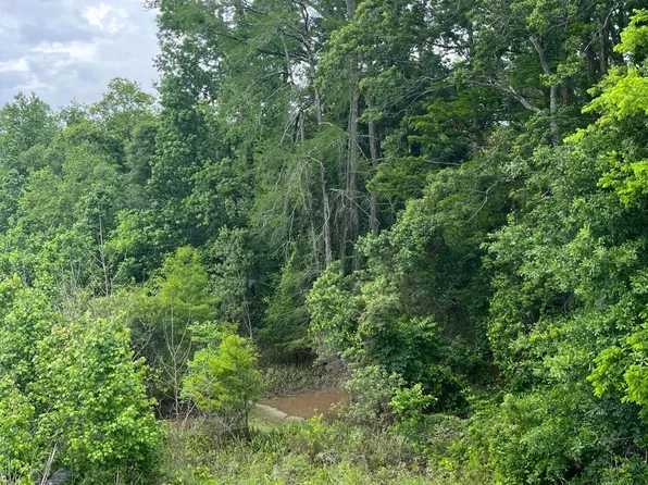 Highway 361, Washington, LA 70589