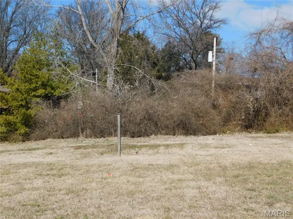 3153 Somerset Green Ct, Saint Louis, MO 63136