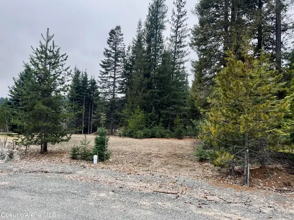 471 Long Dr, Priest Lake, ID 83856