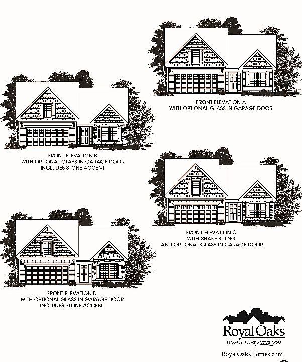 ElevationImage