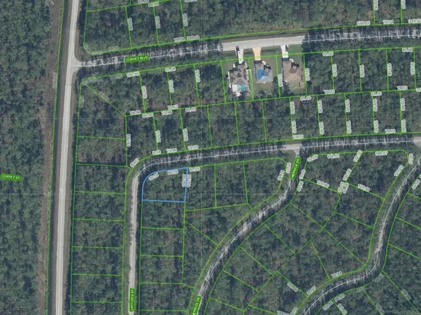 7301 VIRTUDES STREET LOT 8, SEBRING, FL 33872