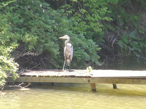 5th image of 4071 Middle Patton Park Rd