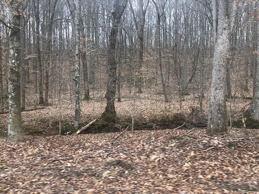 2nd image of 85 Hemlock Dr