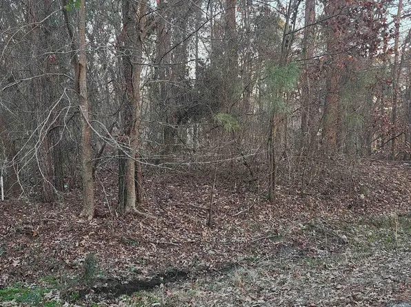 0 Redbud Dr, Avinger, TX 75630