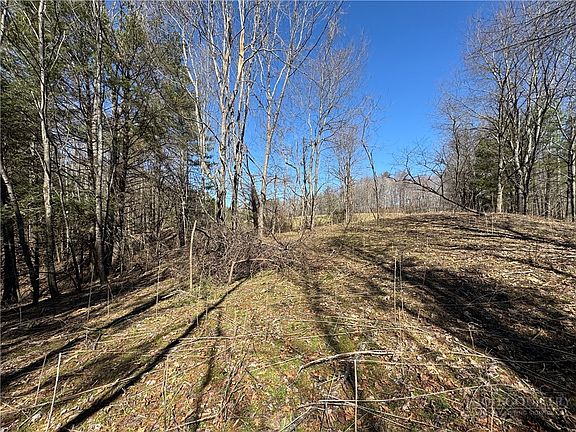 5th image of TBD Charlie King Road and Hwy 194