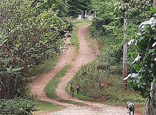 19009 Pita Ln, Garfield, AR 72732