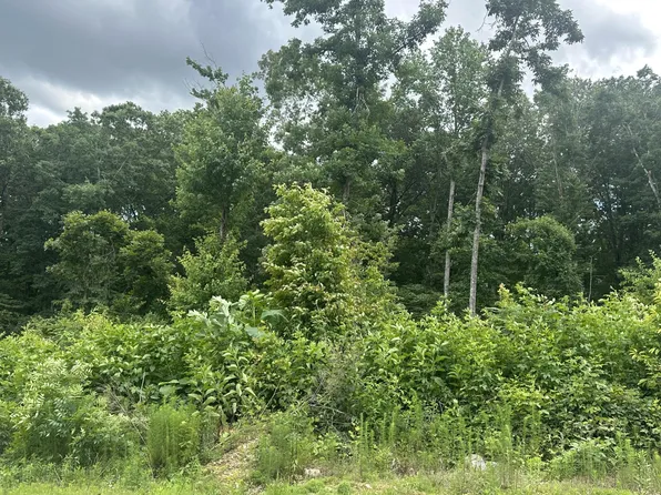 129 County Road 155, Riceville, TN 37370