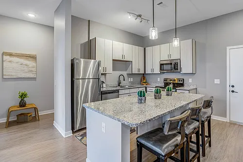The Views of Music City Apartments Photo 1