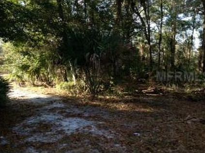 3rd image of 2390 Chapel Hill Dr