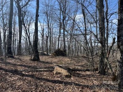 389 McKinney Gap Rd, Mars Hill, NC, 28754