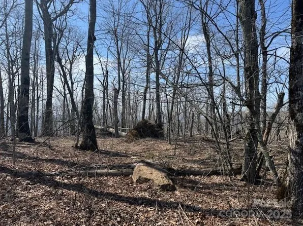 389 McKinney Gap Rd, Mars Hill, NC 28754