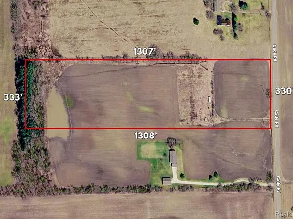 8210 Cade Rd, Brown City, MI 48416