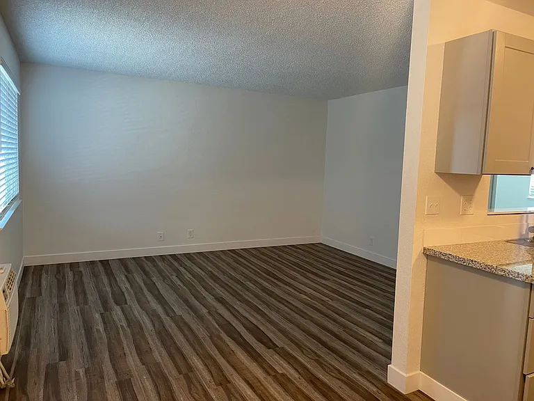 284 Boulder Creek Dr — Photo 5