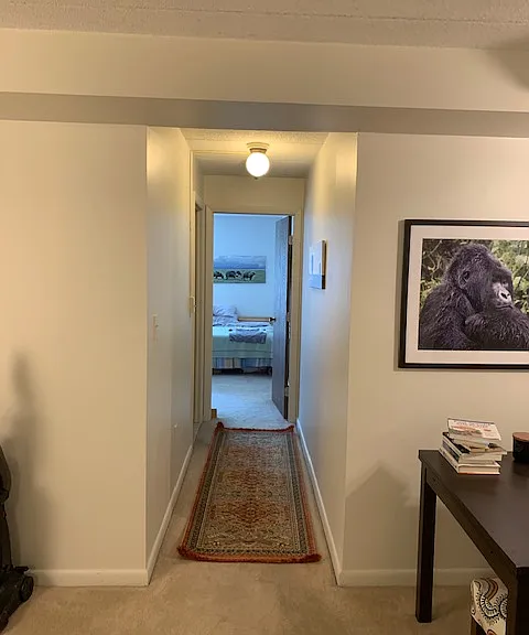 17 Healey St #202 — Photo 3