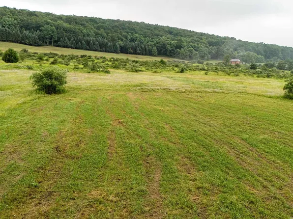 Snowy Creek Rd, Terra Alta, WV 26764