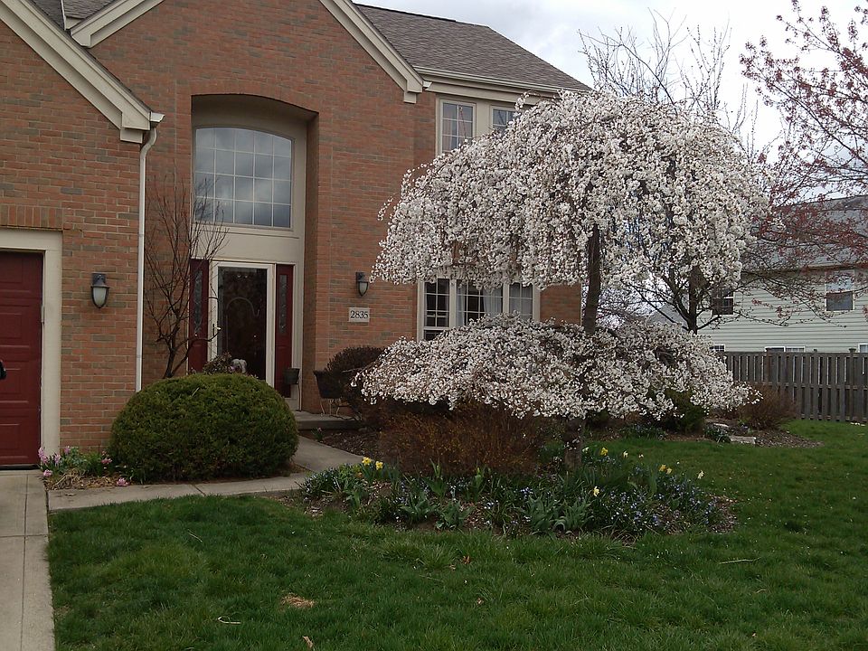 1st image of 2835 Cannon Cir