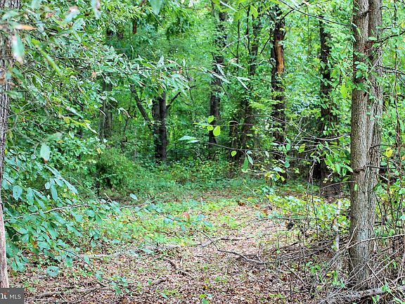 3rd image of 28723 Three Notch Rd