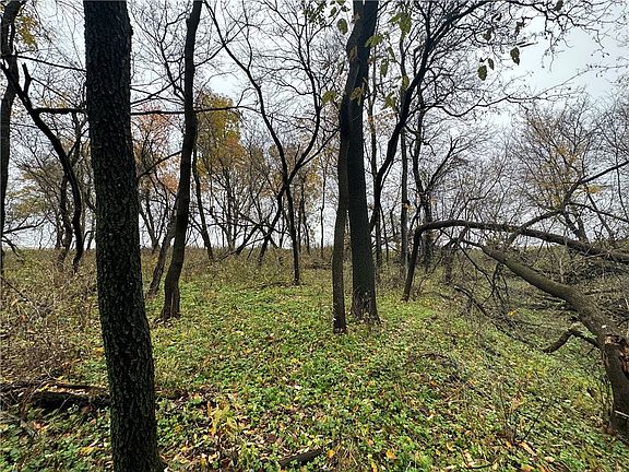 5th image of 0 (17.59 acres) 40th Street