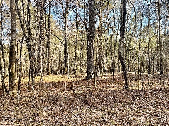 2nd image of 0 Padgett Rd Lot 8-14