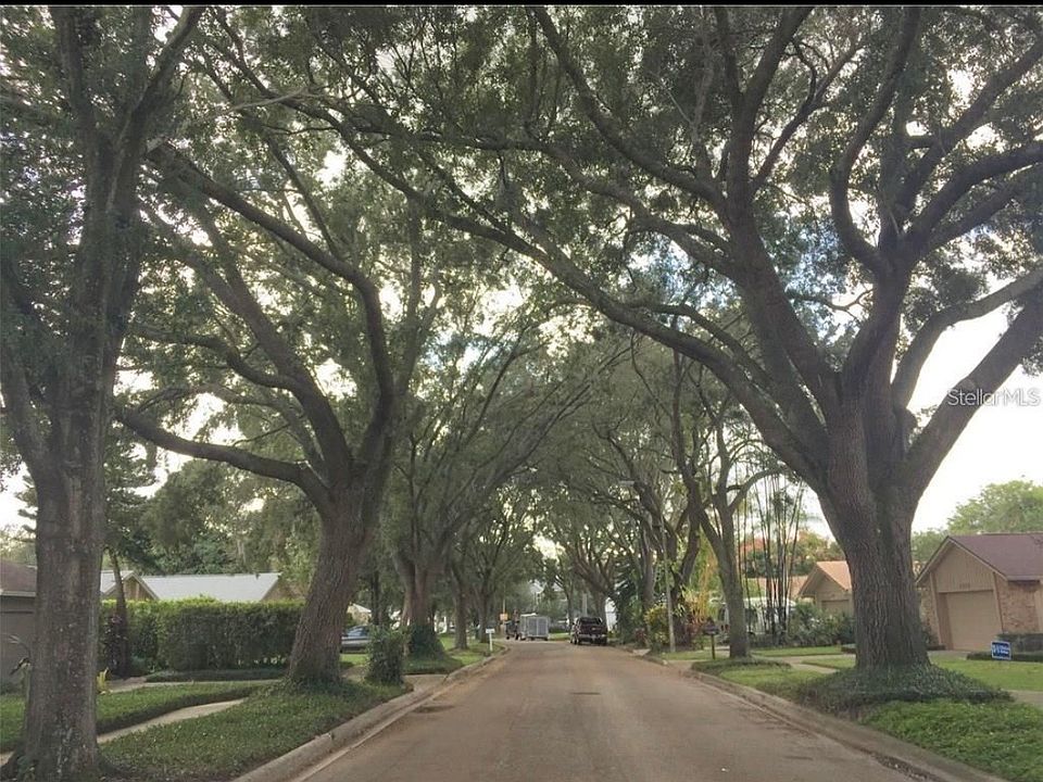 1st image of 1353 Sawgrass Ct