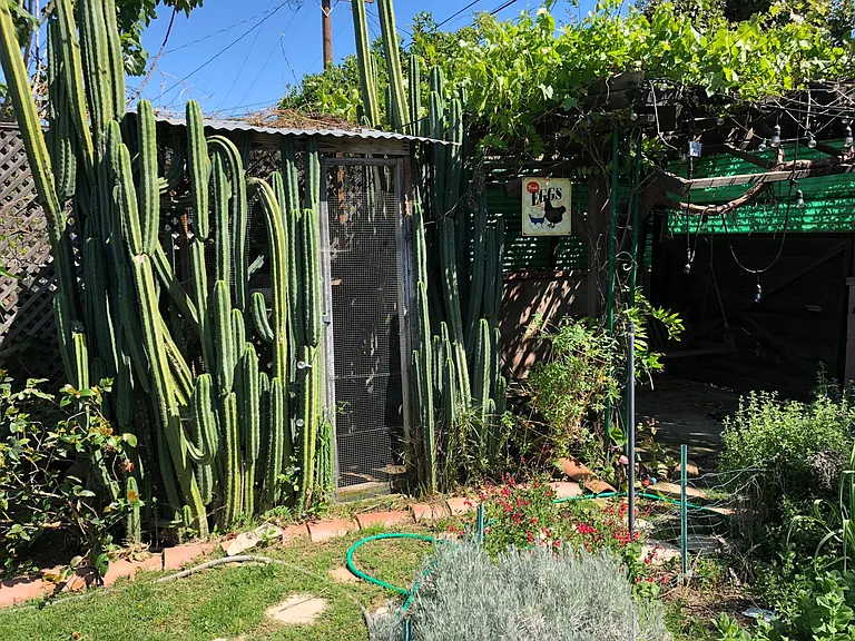 360 Adams Ave — Photo 36