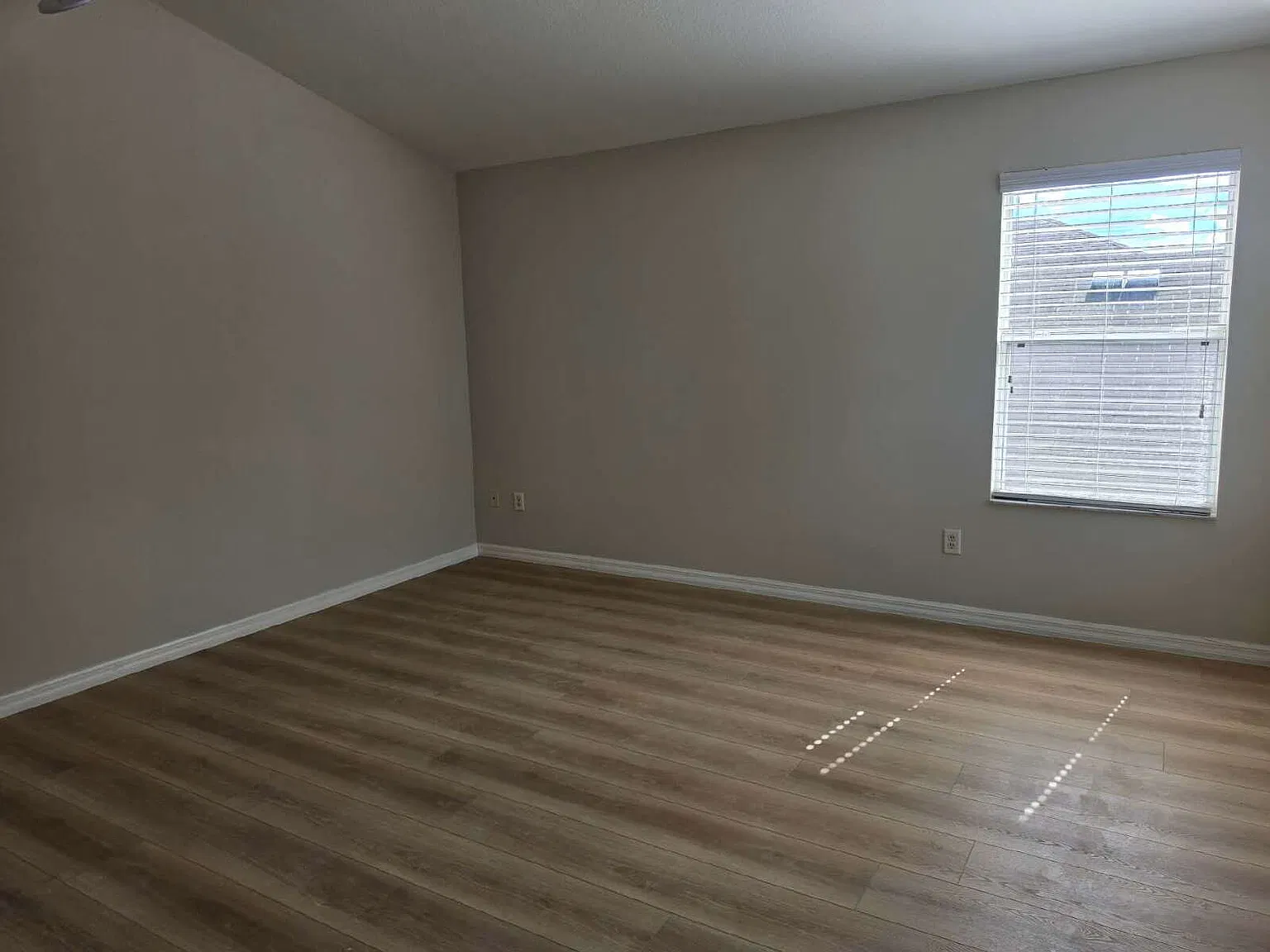 27353 Edenfield Drive, Wesley Chapel, FL 33544 — Photo 3