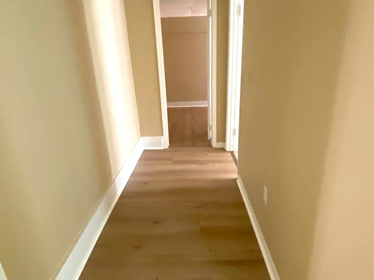 358 Chestnut St #3 — Photo 5