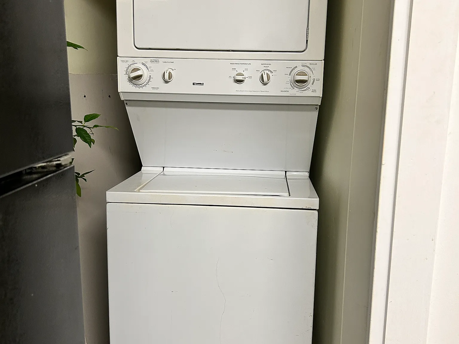 2 bed, $1,600 — Photo 4