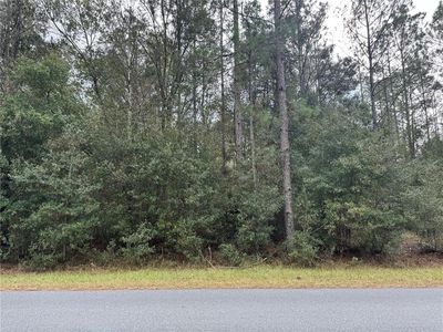SW Beach Blvd Lot 13, Dunnellon, FL, 34431