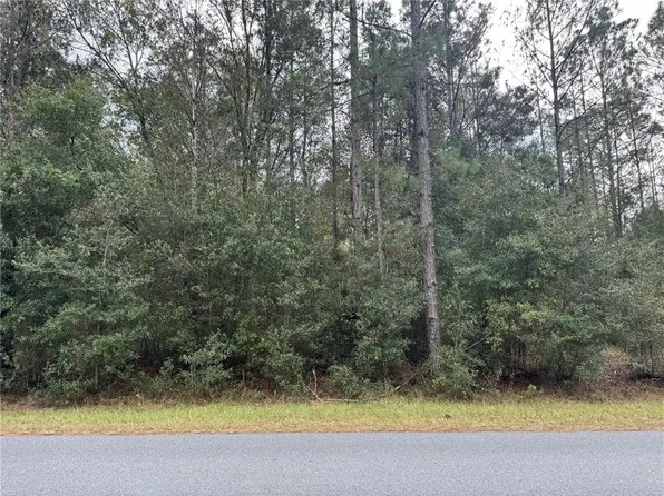 SW Beach Blvd Lot 13, Dunnellon, FL 34431