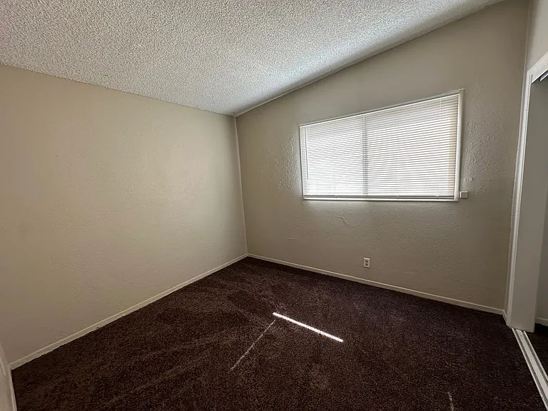 237 Palm Dr — Photo 8
