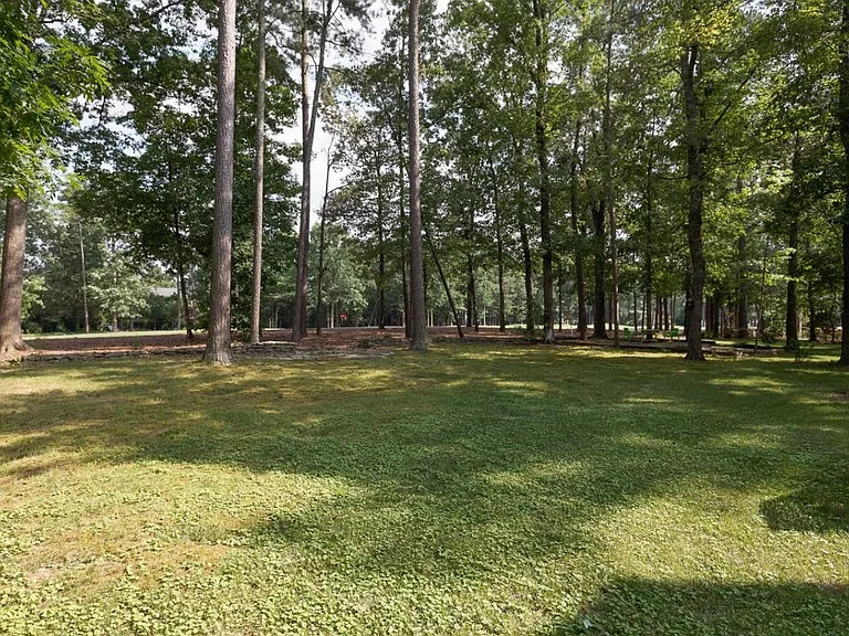backyard view