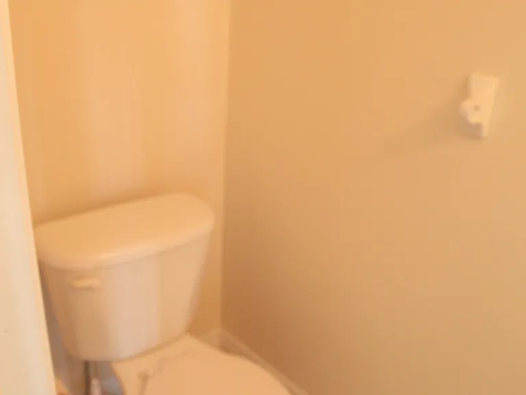 619 Wild Ginger Ave — Photo 12
