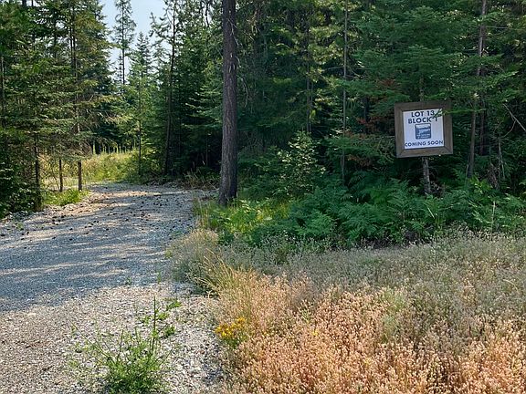 4th image of Lt13b1 Leonard Loop