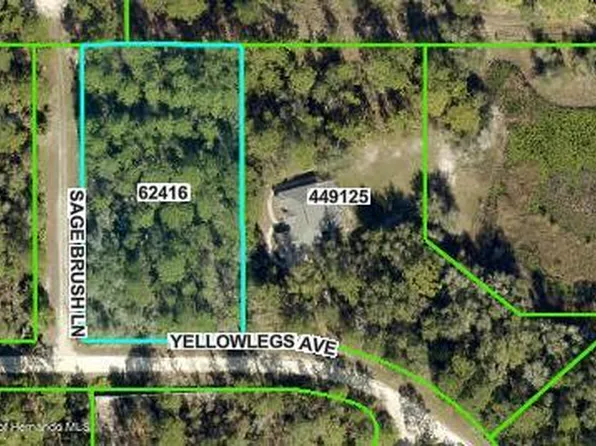 0 Sage Brush Ln, Brooksville, FL 34614