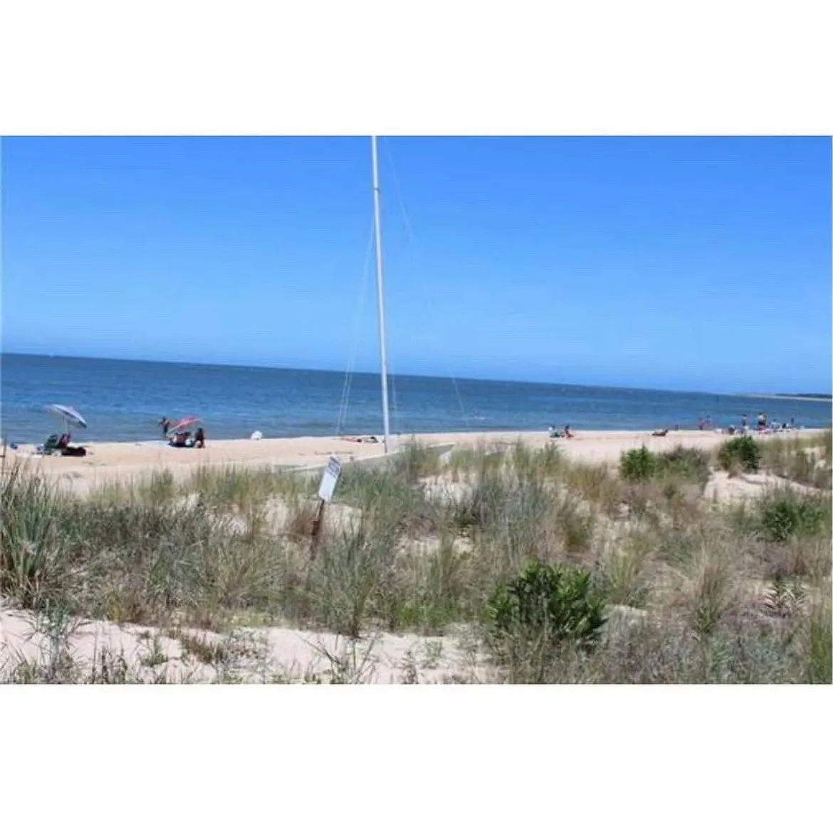 Sea Shell Rd, Virginia Beach — Photo 1