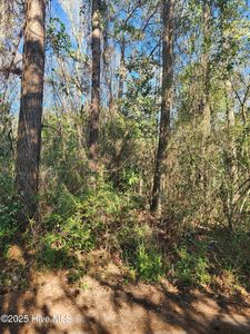 323 Cottonwood Lane, Castle Hayne, NC, 28429