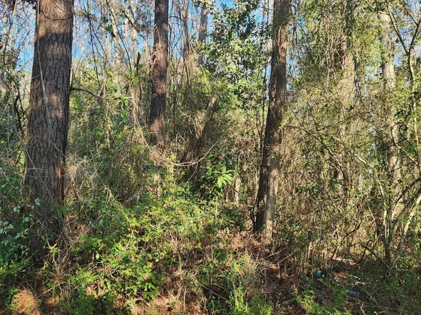 323 Cottonwood Lane, Castle Hayne, NC 28429