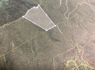 Fraley Ave, Duffield, VA 24244