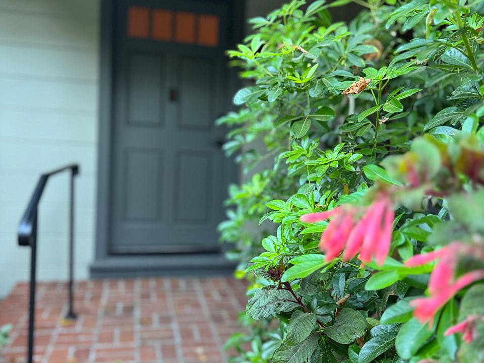 1st image of 99 Tamalpais Ave