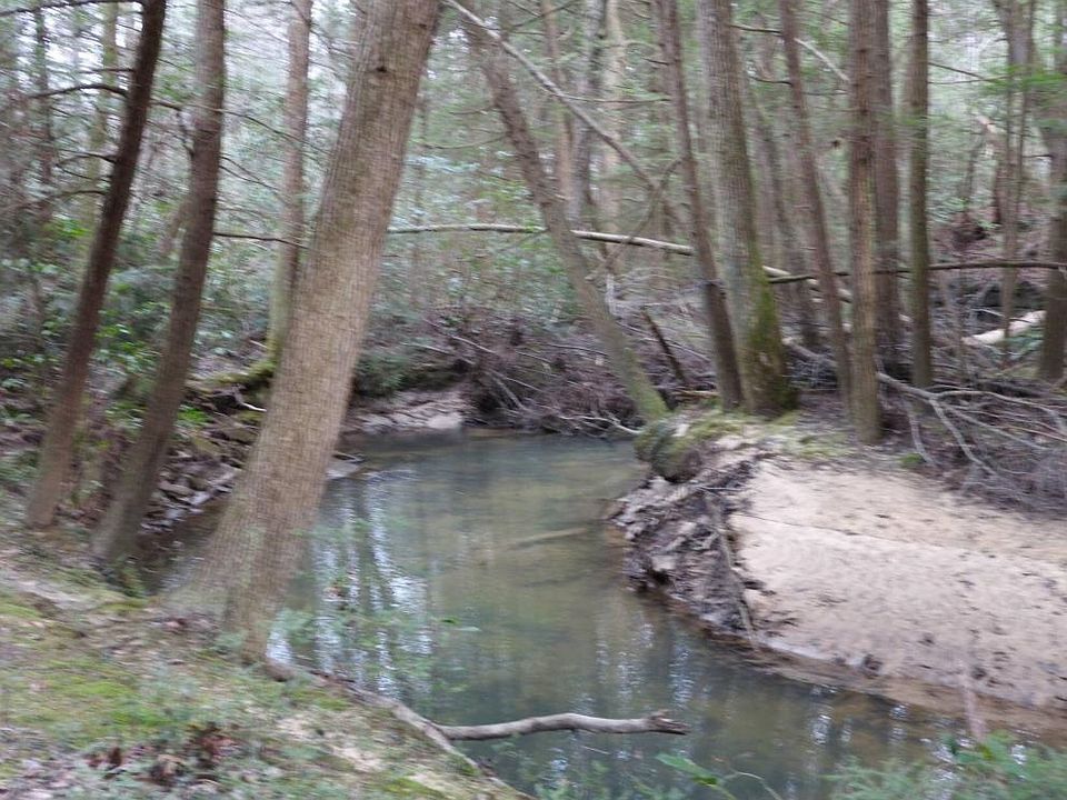 creek 3