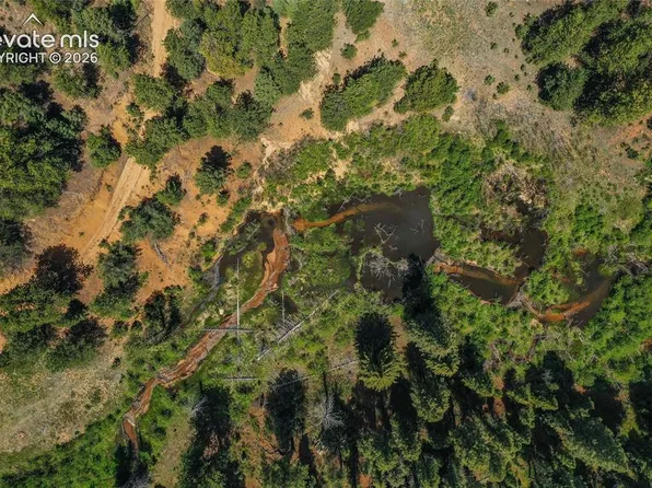 29545 State Highway 67, Woodland Park, CO 80863