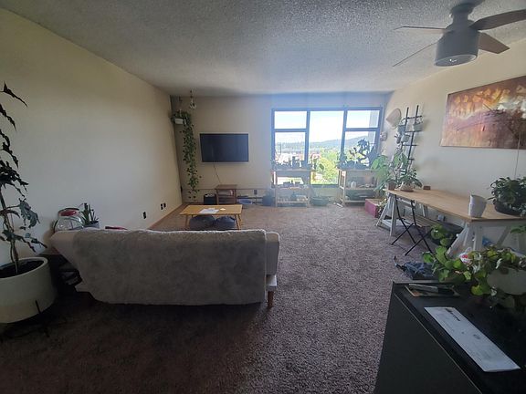 Beautiful green and light living space, with mounted TV and decorations included.