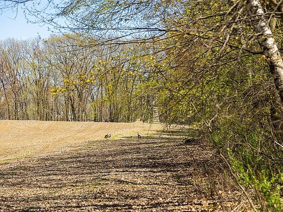 2nd image of W1349 Hurlburt Road