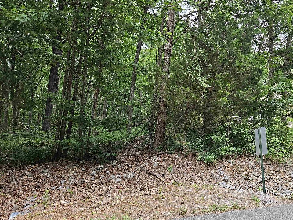 2nd image of 2505 Bluff City Rd