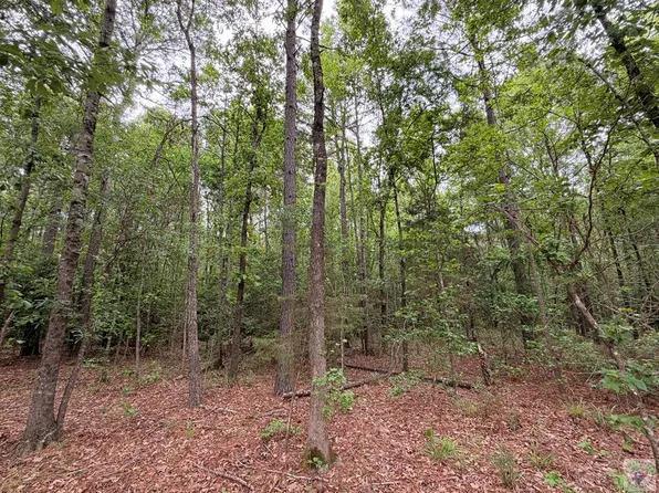 County Road 1580 #A, Avinger, TX 75630