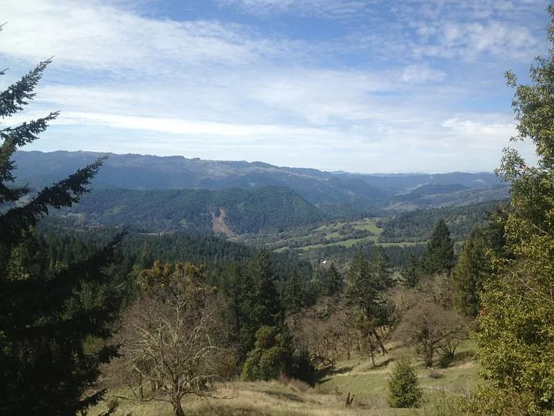 84 Acres Stewart Ranch Rd photo 1